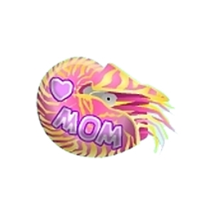 Mothers Day Nautilus